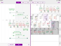 Bazi Consultation Chinese Astrology