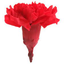 Rose flowers are used to express deep emotions of love, passion, romance, longing, and care. The Most Beautiful Flowers In The World Verdissimo
