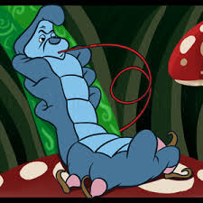 The caterpillar appeared in the episodes \\big bad wolf daddy\\ and \\donald wants to fly\\. How To Draw Caterpillar Alice In Wonderland Step By Step Drawing Guide By Dawn Dragoart Com