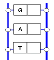 Dna structure, function and replication. Http S2 Onmycalendar Com Files Bd A6r226857qc Dnareplicationkey Pdf