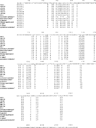 Image result for Aeschynomene schimperi