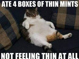 Theberry Animal Captions Funny Animals Bones Funny