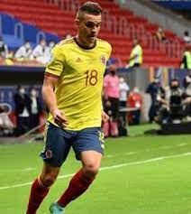 Rafael santos borré, conocido por ser el primer defensor en su equipo, podría hacer un papel fundamental en la tarea de la presión alta que podría buscar la selección colombia y además por su buen juego entre los defensores, sumando su conocimiento sobre el fútbol argentino. Rafael Santos Borre Se Despidio De River Plate Y Oficializo Su Llegada A Un Grande De La Bundesliga Strikers Colombia Cracks