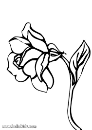 Free Traceable Flower Patterns Download Free Clip Art Free Clip Art On Clipart Library Flower Printables Free Flower Coloring Pages Flower Drawing