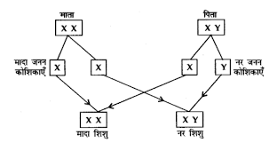 Cbse Sample Papers For Class 10 Science In Hindi Medium Paper 1 Learn Insta Sample Paper Hindi Medium Science