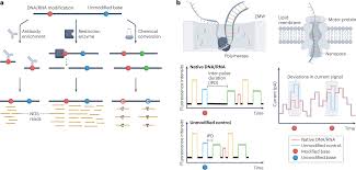 Image result for Modified Apt Test