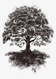 Creative Creative Trees Root Vector Tree Png Image Tree Tattoo Tree Tattoo Art Tree Of Life Tattoo