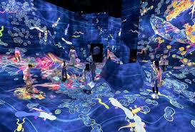teamLab Planets TOKYO DMM Admission Ticket -Rakuten Travel Experiences