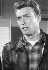 Storys ? I ordered Raw Hide from America . 😀 Took me 3 months to watch it .