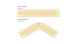 We did not find results for: Lipids Article Macromolecules Khan Academy