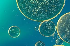 As a qcc, you oversee and assist in calibrating all laboratory events, documentation and archiving. Highest Paying Jobs For Biology Majors Geteducated