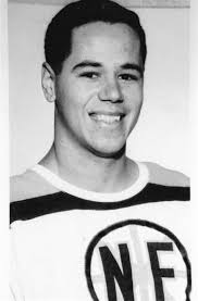 Quebec Nordiques player from Gatineau, Quebec stats