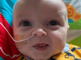 Fundraiser for Dustin Kesner by Amanda Goetz : Help lay Kip to rest.