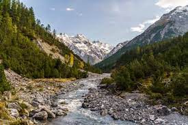 34,359 likes · 1,707 talking about this · 5 were here. Freizeit Ch Schweizerischer Nationalpark In Zernez Gr Aktivitaten