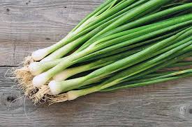 Probably most interesting to the reader is the setup for the. The Best Onion Cultivars To Grow At Home Gardener S Path