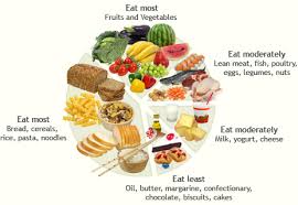 Punctual Weight Loss Chart In Hindi Tb Patient Diet Chart In