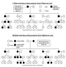 222 Best Genetics Images In 2019 Genetics Teaching