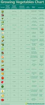 Growing Veggies Chart A Nice Condensed Guide To For When
