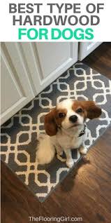 Best Hardwood Flooring For Dogs Minimalist Home Interior Hardwood Hardwood Floors