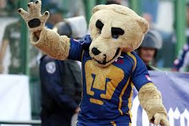 Get premium, high resolution news photos at getty images Se Cayo Duelo De Pumas Ante Rival Extranjero Mediotiempo