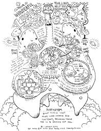 Respiratory System Coloring Page Anatomy Coloring Book Teaching Biology Anatomy And Physiology