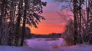 Only the best hd background pictures. Hd Wallpaper Winter Scenes Desktop Backgrounds 3840x2160 Wallpaper Flare