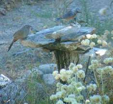 Want to attract birds to stop by your yard? How To Build A Simple Bird Bath To Attract Birds Your Garden