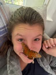 I came home to find alot of butterfly's