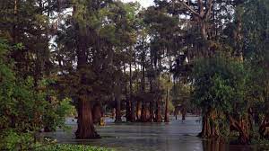 Wallpapers for your mobile phone. Louisiana Wallpapers Wallpaper Cave