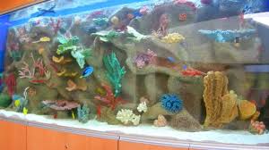 I had no aquarium experience whatsoever, stockhausen said. Children S Hospital 500 Gallon Saltwater Acrylic Aquarium For A Hospital In Ny Youtube