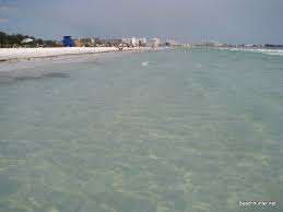 Visit Siesta Key Beach Shallow Clear Water Siesta Key Beach Beach Sarasota Florida