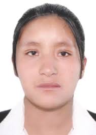 Ingresos de Otorongos Elecciones 2022