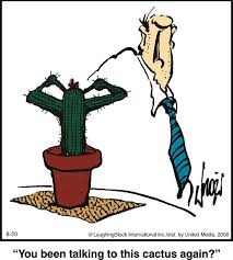 I've finally found my home. Herman You Been Talking To This Cactus Again Funny Long Jokes Herman Cartoon Herman Comic