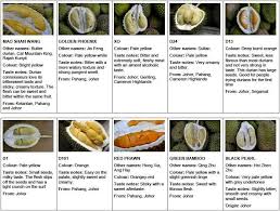 Type Of Durians Durian Vegan Recipes Easy Durian Tree