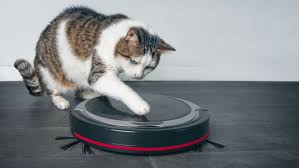 Stick around as we review the best models and go through some of the most critical buying factors. The Best Robot Vacuums For Pet Hair Of 2021 Reviewed