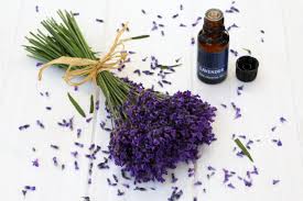 It can stimulate your hair growth and deal with many hair problems such as dandruff, hair loss, alopecia, etc. Lavender Essential Oil Benefits Side Effects Dosage And Interactions