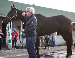 Previewing the 2021 preakness stakes. Pj1x3c2u3peljm