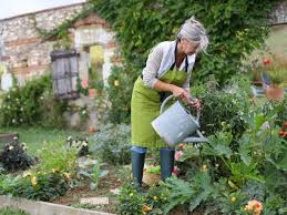 Auch der pflegeschnitt sollte im juli nicht zu kurz kommen. Der Garten Im Juli Garten Europa
