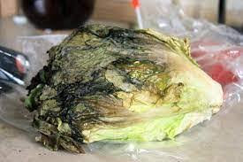 Sometimes there are telltale signs, such as someone's face turning red or. What Happens If You Eat Expired Lettuce 5 Practices The Whole Portion