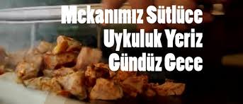 Mekanimiz Sutluce Uykuluk Yeriz Gunduz Gece Sokak Yemekleri