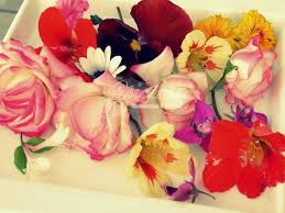 Resultado de imagen de flores comestibles