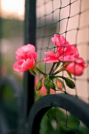 Well it's time you add a little bit of creativity to your mobile wall screen. High Resolution Wallpaper For Mobile 640x960 Wallpaper Teahub Io