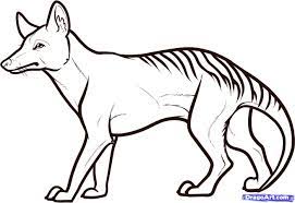 How To Draw A Tasmanian Tiger Tasmanian Wolf Step 8 Tasmanian Tiger Animal Drawings Drawings