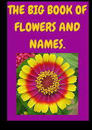 Or else, a single flower specimen may have two different common names within the same region. Flowers And Names Flowers Types Names And Pictures Kindle Edition By Rose Willow Crafts Hobbies Home Kindle Ebooks Amazon Com