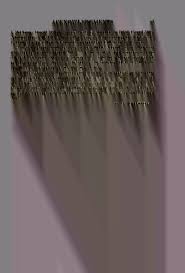 Image result for Anthospermum whyteanum