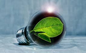 Residents by researching, monitoring, and enforcing activities that safeguard the air, water, and land. Environmental Protection Ceragol Ultra