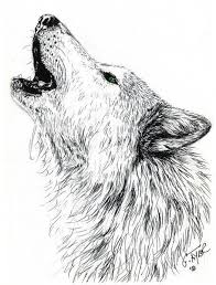 Pin By Tolga Yunus On Dovmeler Wolf Drawing Howling Wolf Tattoo Wolf Head Drawing