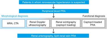 Bilateral Renal Parenchymal Disease - What Exactly Does It Mean?