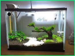 Aquascape Seni Menata Akuarium Ekor9 Com Aquascaping Akuarium Seni