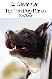 50 Clever Car Inspired Dog Names Dogvills